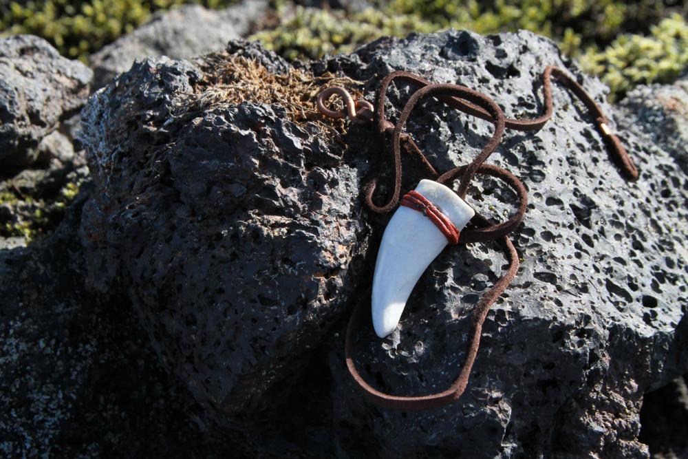 Jaguar Tooth Necklace